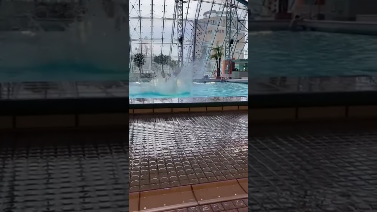 Rudihara 3m 🎊🙌🤪 #splashdiving #flip #frontflip