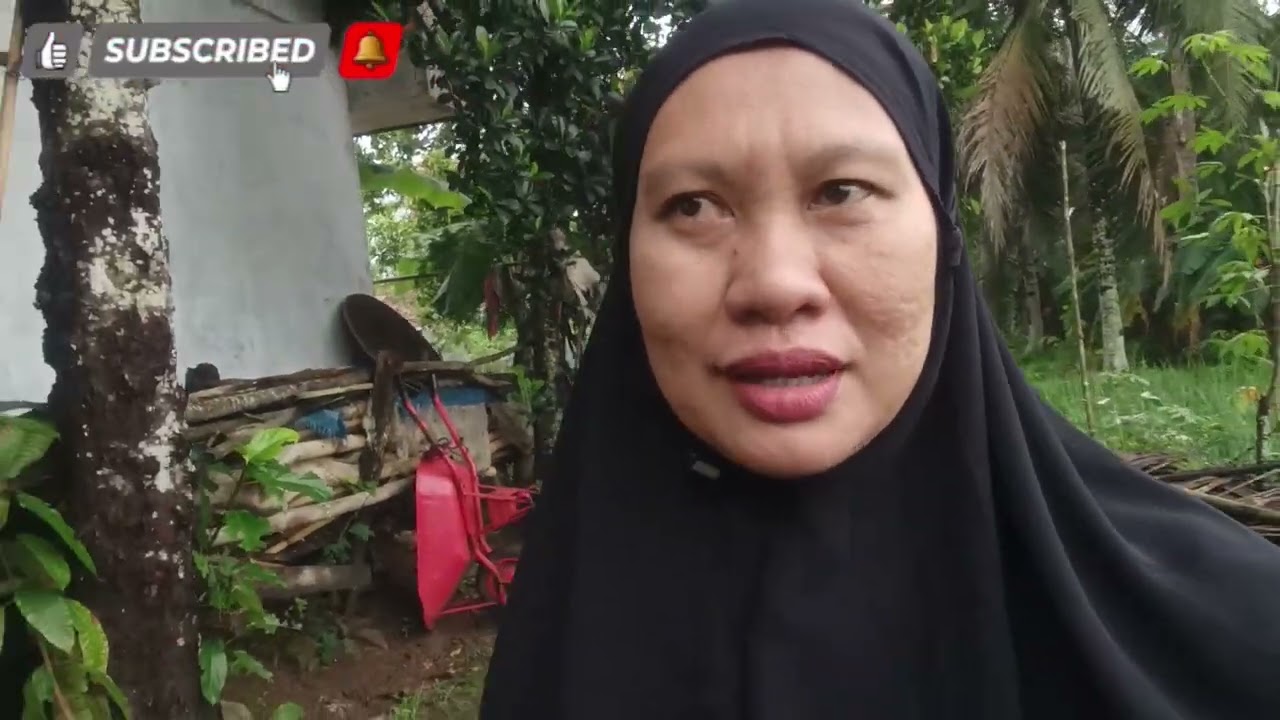 Jalan2 bareng kakak nayla lagi, sekalian mau lihat tanaman cabe di sawah