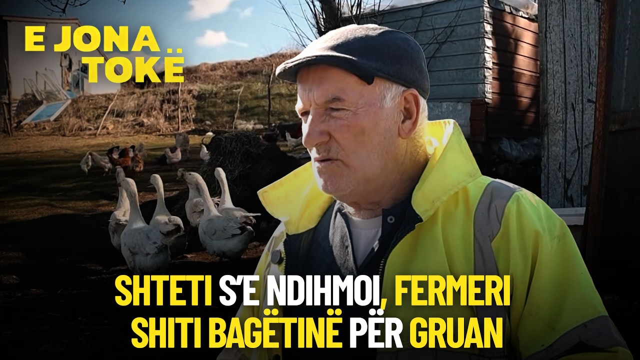 Shteti nuk i doli në ndihmë, fermeri shiti lopët dhe delet për të shëruar gruan