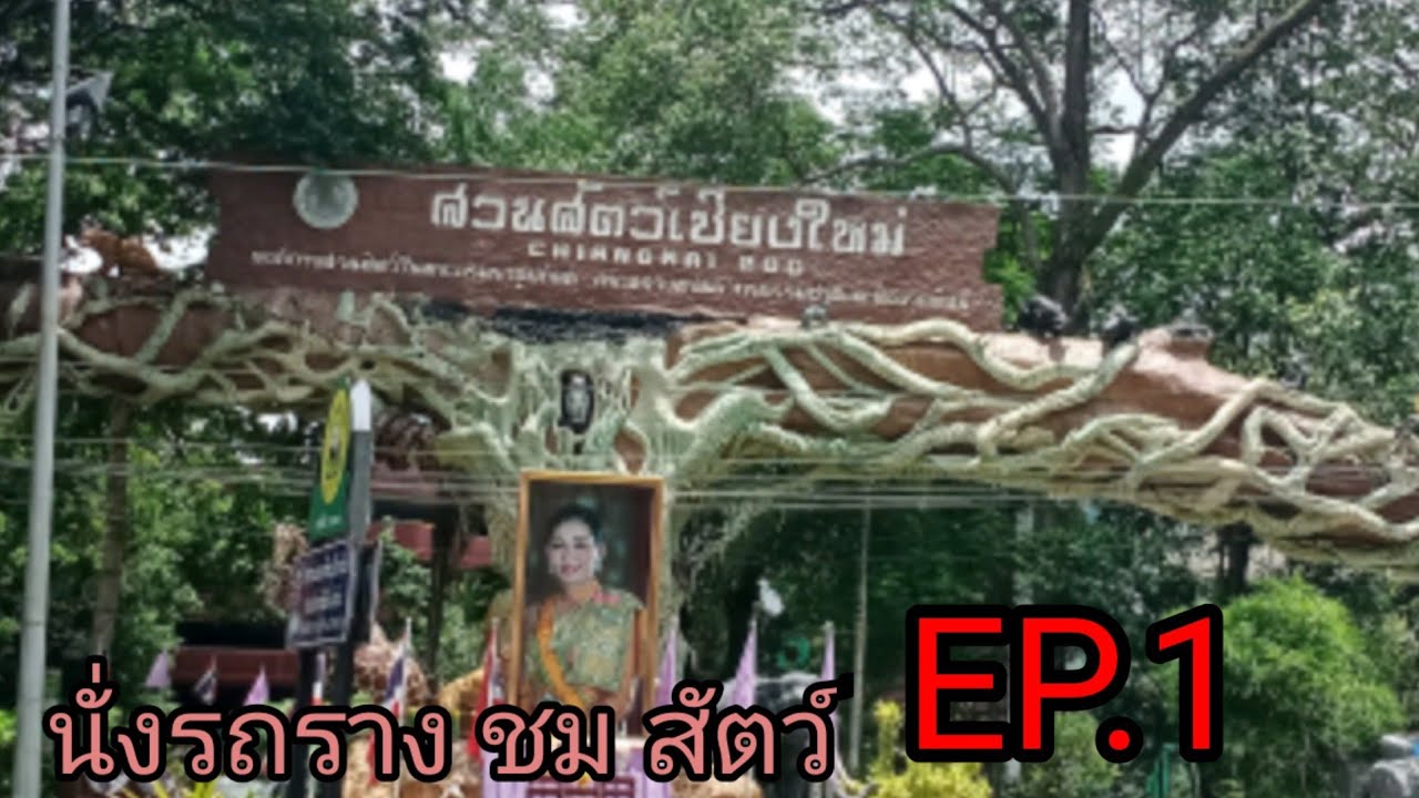 สวนสัตว์เชียงใหม่(นั่งรถรางชมสัตว์)EP.1