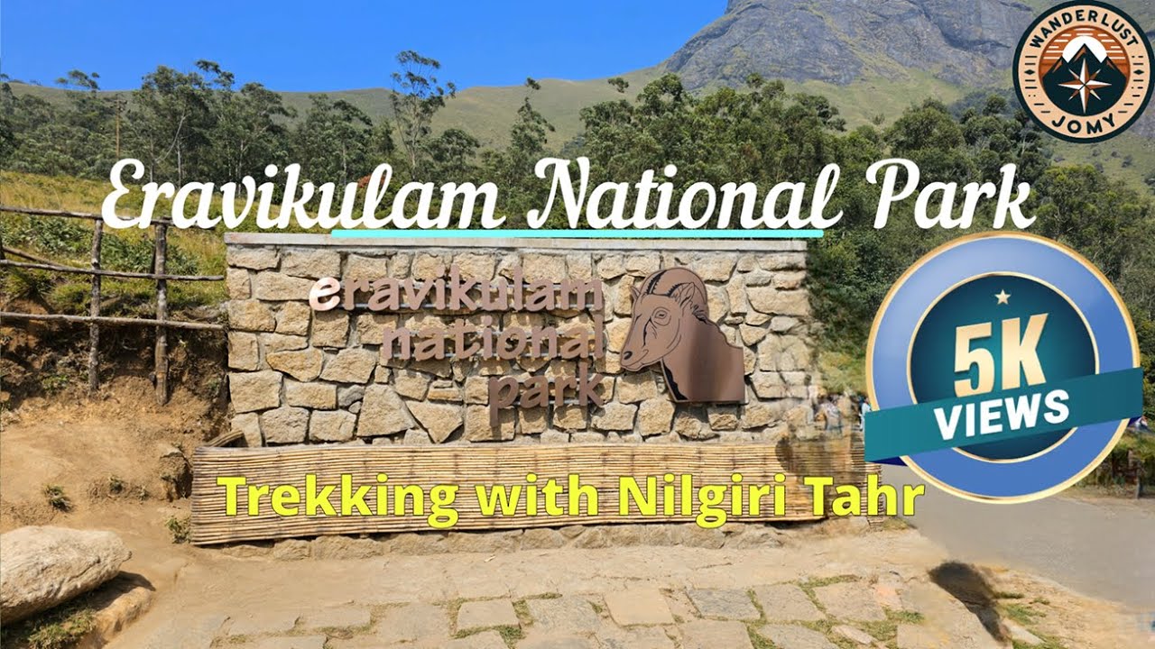 Eravikulam National Park | Trekking with Nilgiri Tahr | Trekking, Wildlife and Nature's Wonders | 4K