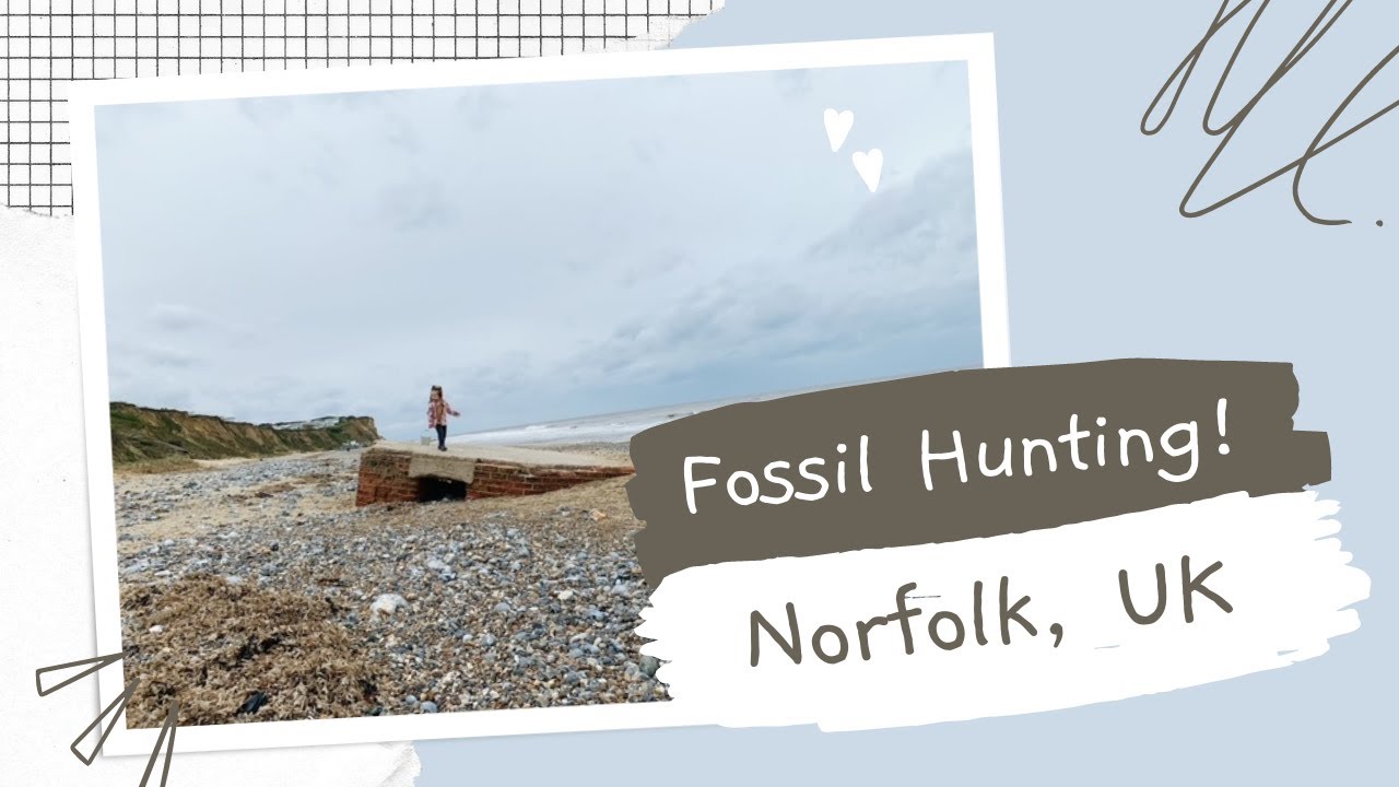 Norfolk Beaches | Fossil Hunting at East Runton Beach