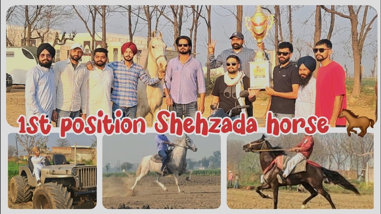 Nurpur Chatha horse 👌 mela 1st position🏆🥇 Shehzada horse 🏇 22/2/2026