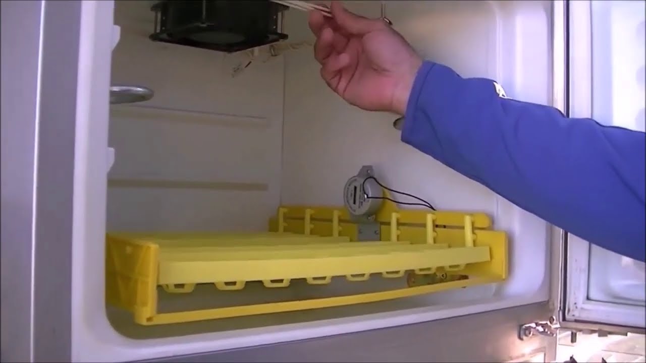 Incubadora casera fácil y rápido