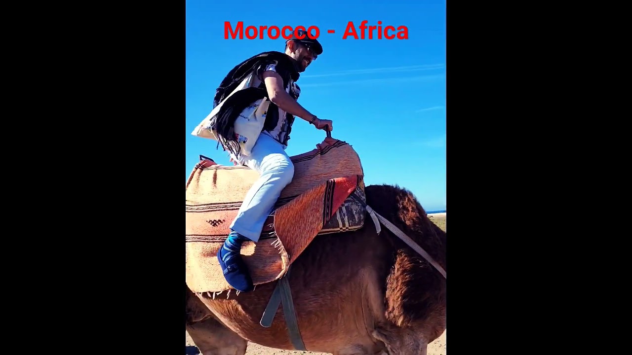 Visiting Morocco and riding a Camel for the first time lol