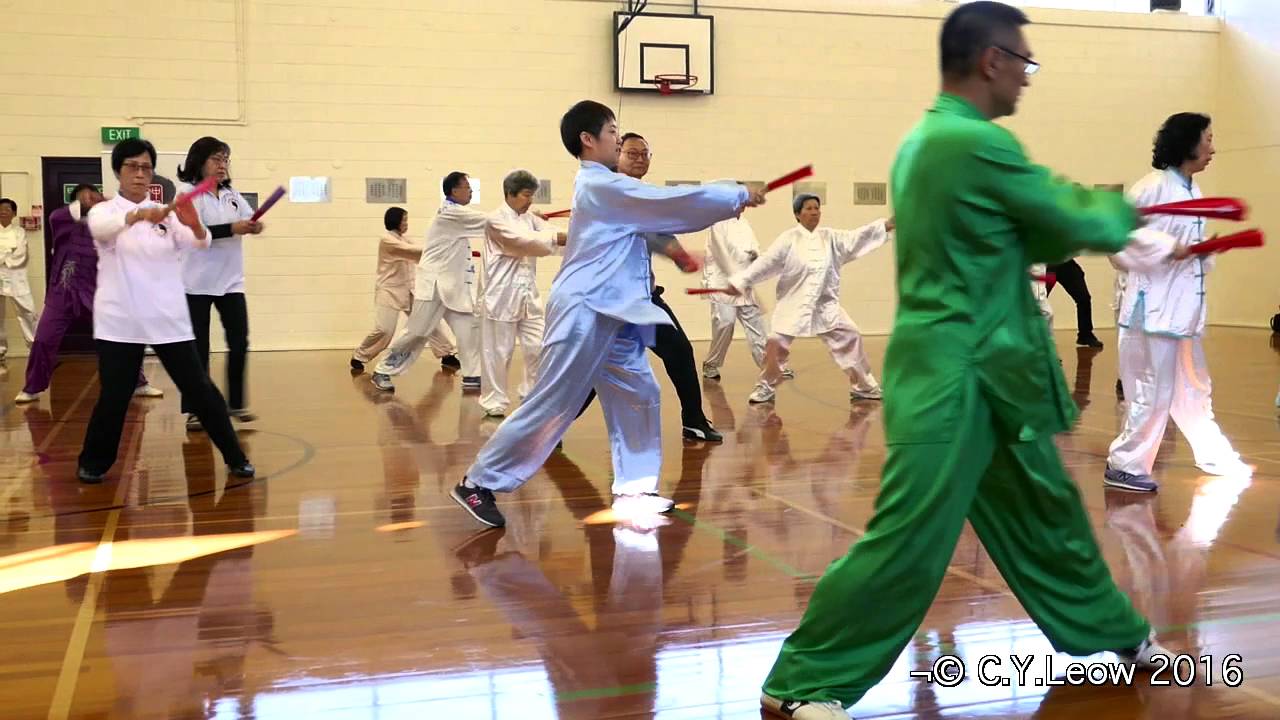 2016 WORLD TAI CHI and QIGONG DAY Wellington, New Zealand - Tai Chi Kung Fu Fan © C.Y.Leow