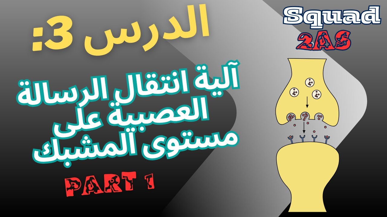⚡ كيف تنتقل الرسالة العصبية عبر المشبك؟ | الجزء الأول | 2AS علوم طبيعية squad