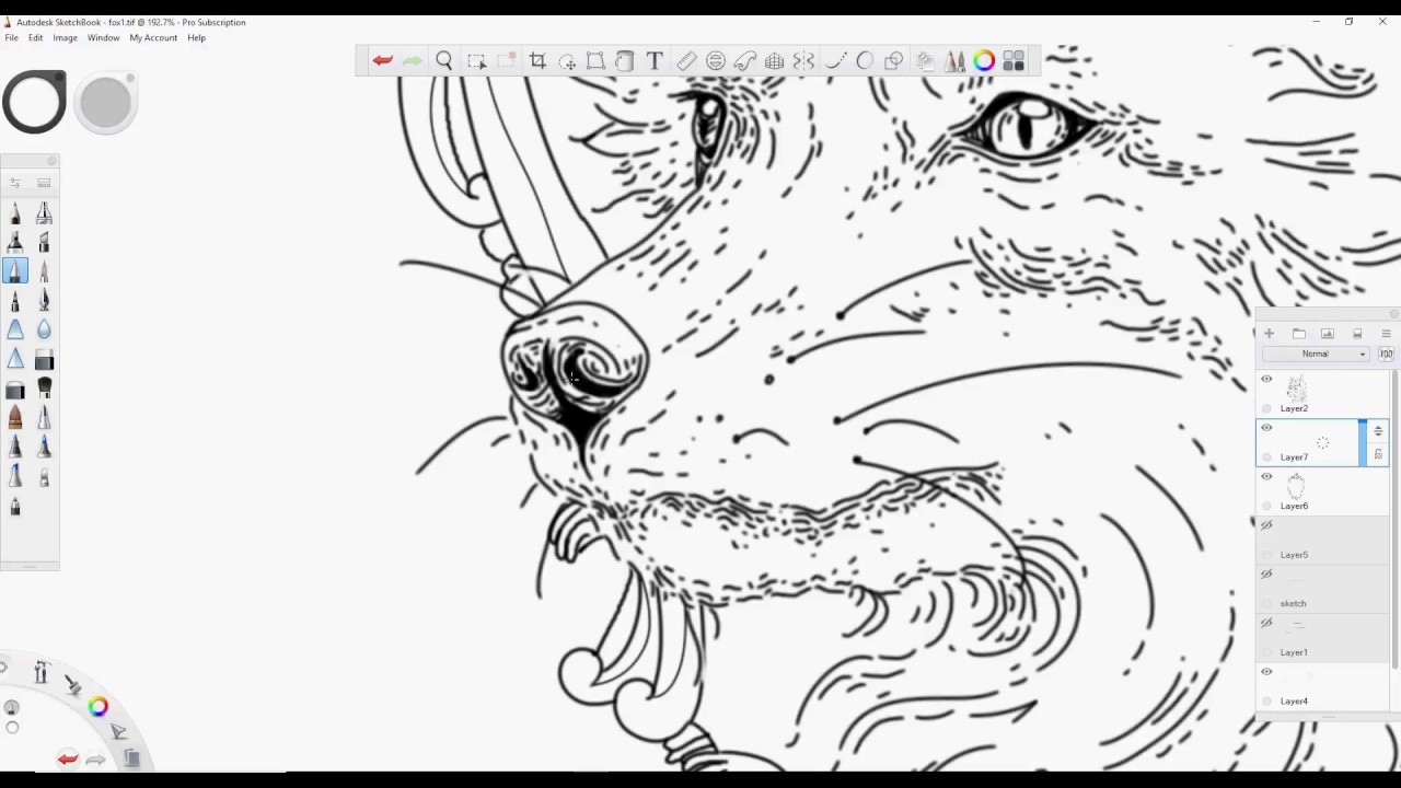 My First Drawing On A Graphics Tablet