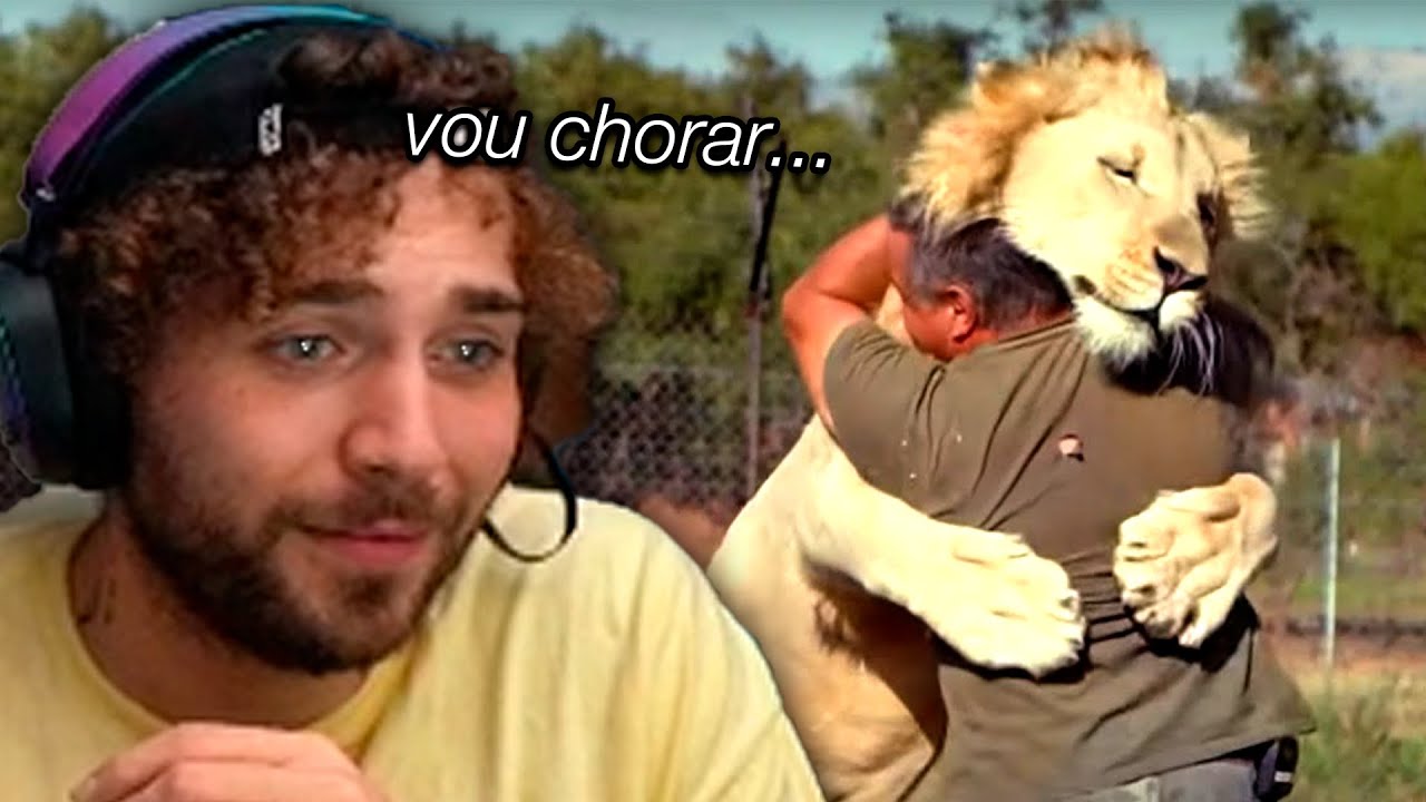 Tenta NÃO CHORAR com REENCONTROS de ANIMAIS E DONOS