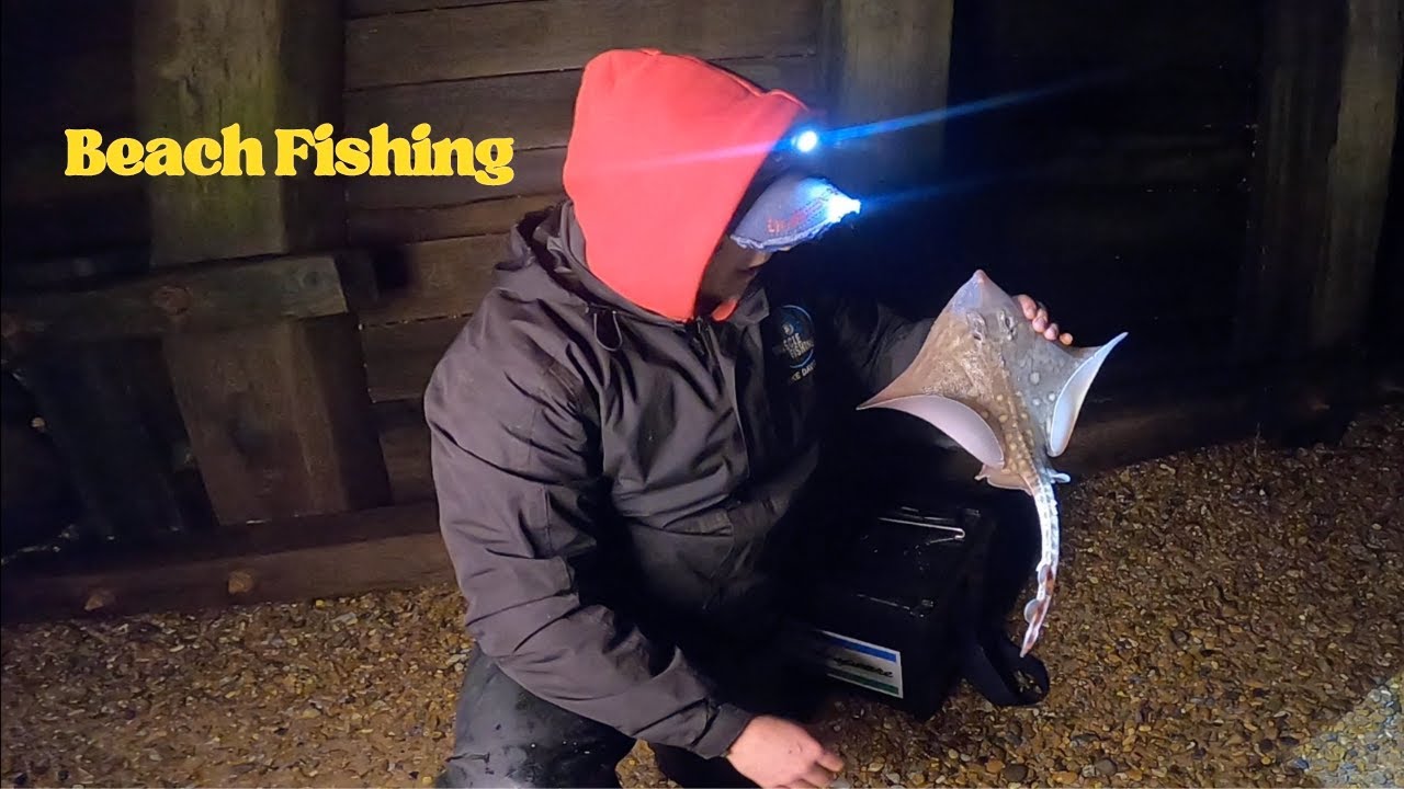 Sea Fishing UK - Targeting Rays From A Steep Shingle Beach