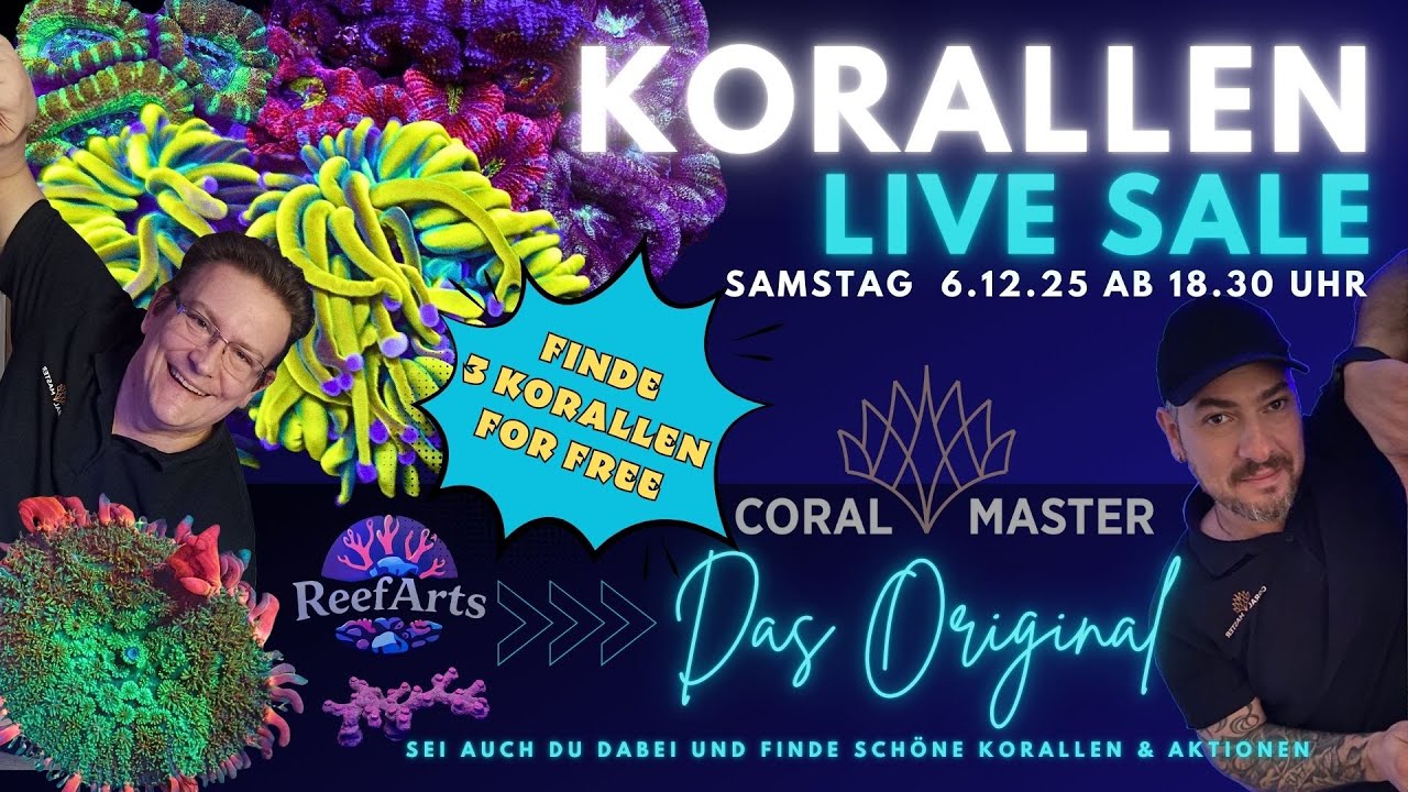 🐠 LIVE Korallen Sale beim CORAL MASTER in Wiesbaden 🪸 | Exklusive Rarit&auml;ten & 3 Korallen for Free 🌊