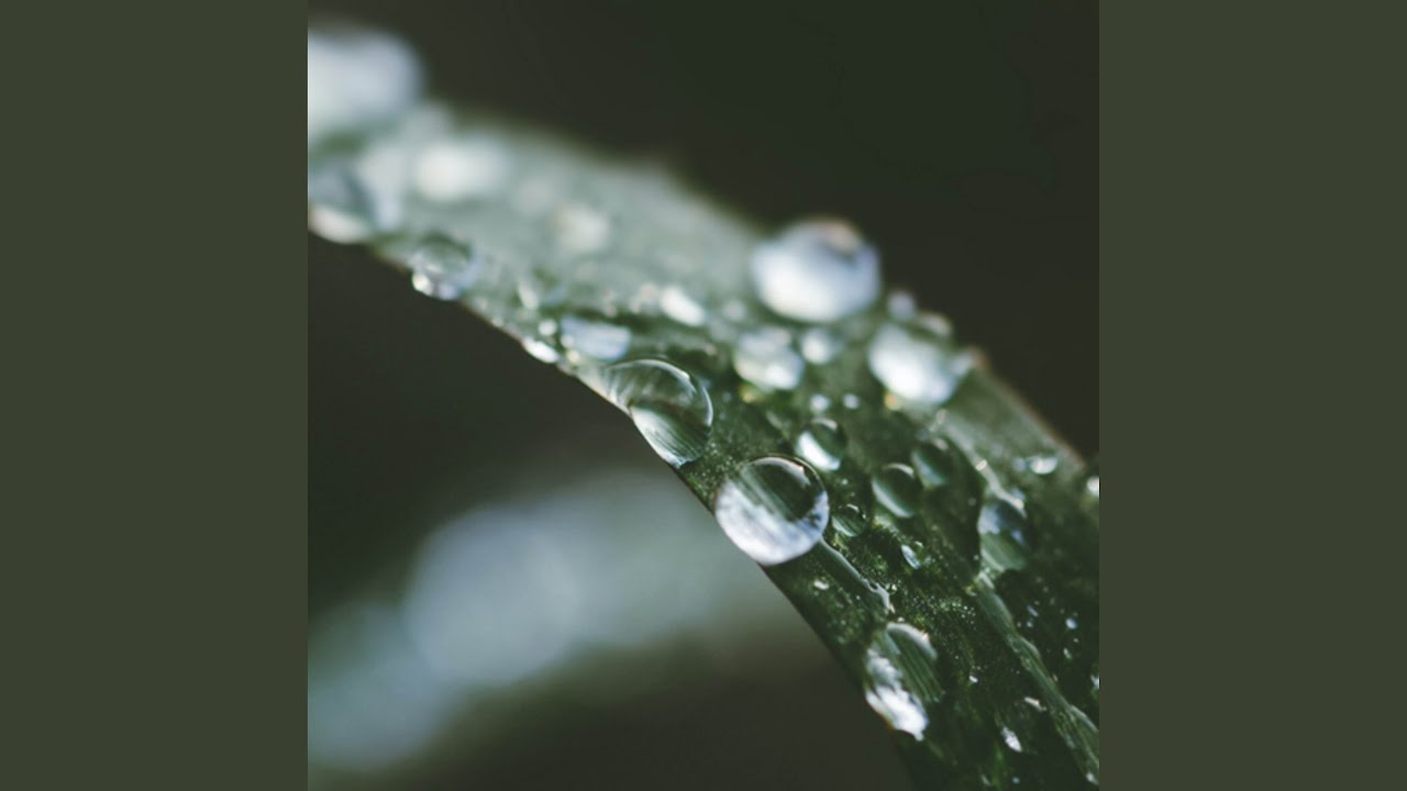 Bubbles Drop