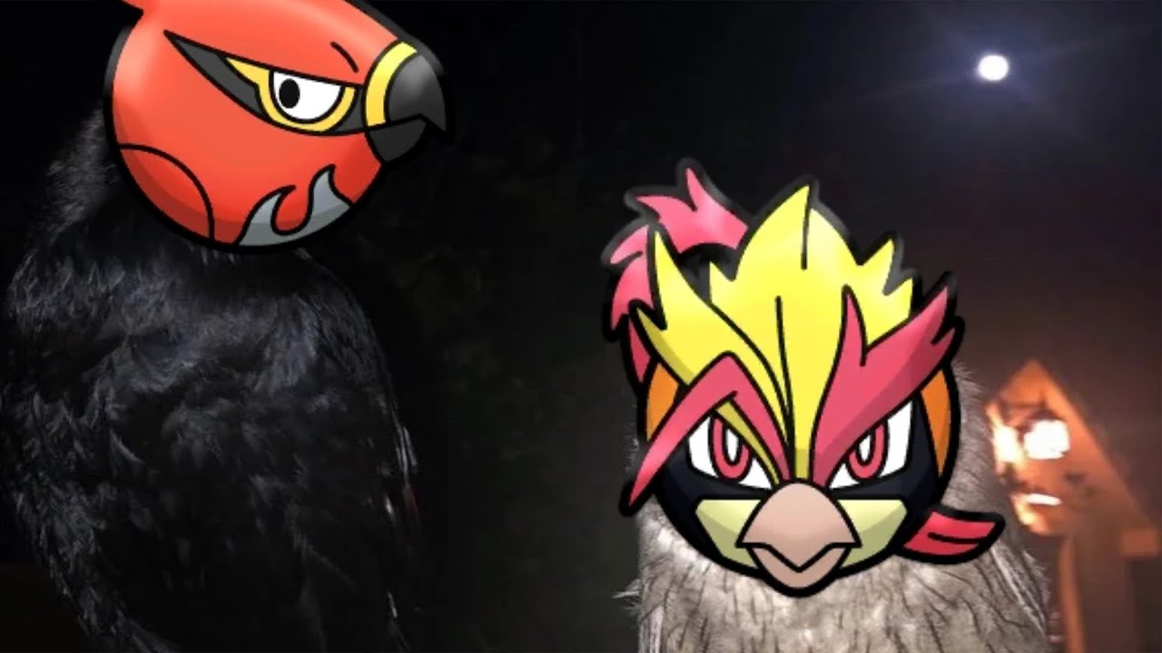 Roria Conquest No Tutor HC Nuzlocke: Fissy Battle