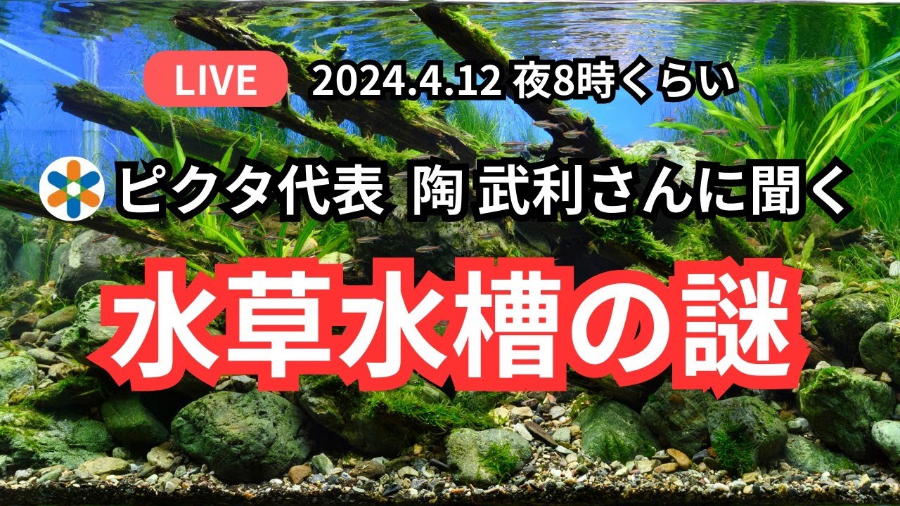 ピクタ代表  陶 武利さんに聞く水草水槽の謎！