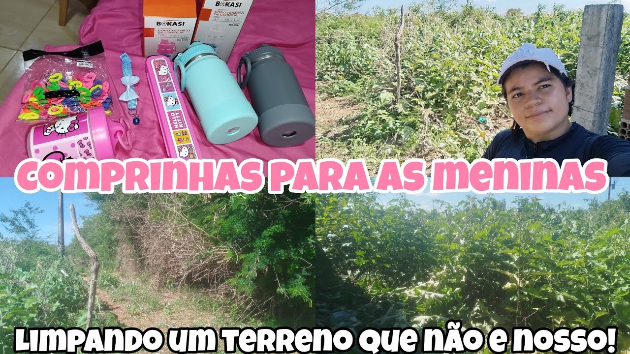 Limpando um terreno que não e nosso comprinhas para as meninas #vlog #rotina #interior #comprinhas  