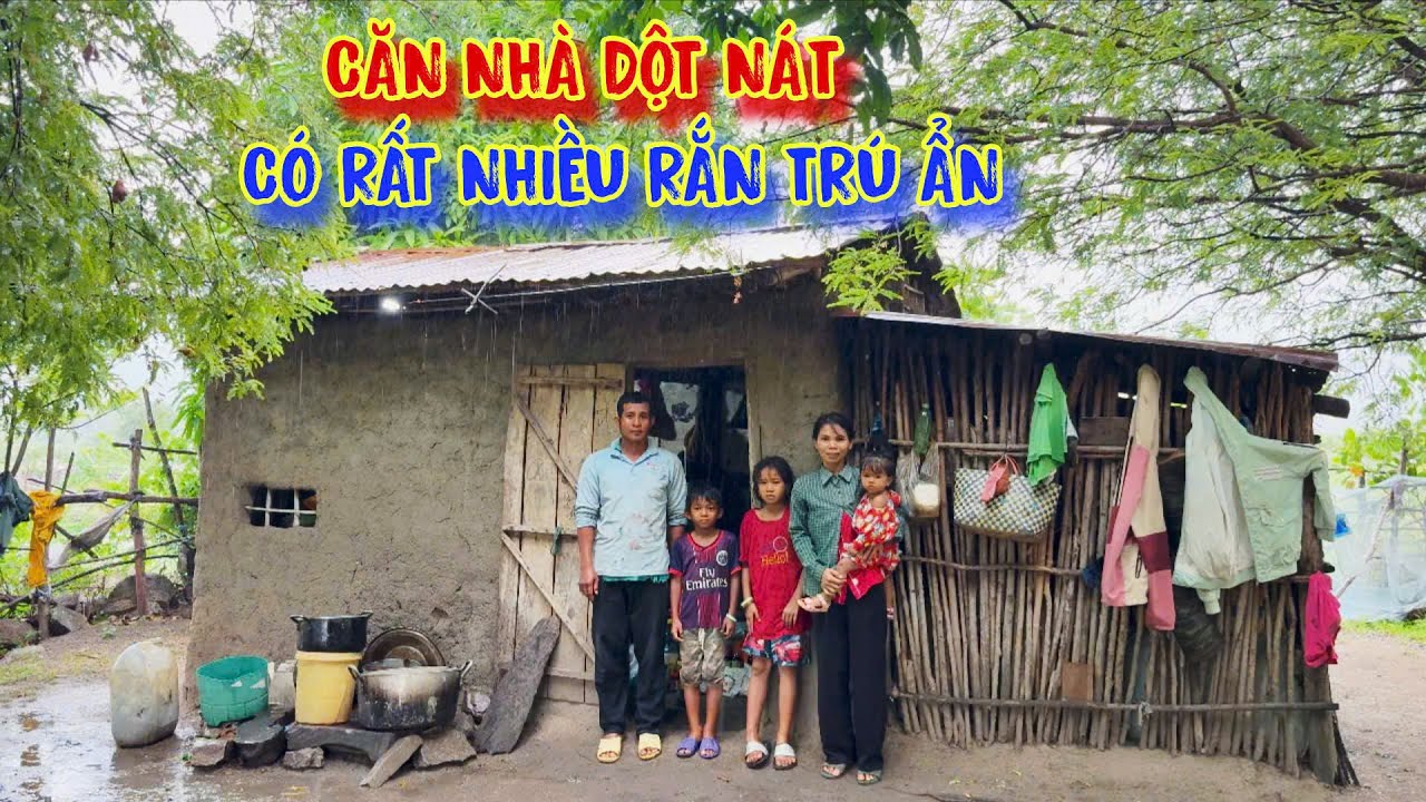 NGÔI NHÀ nhiều rắn của gia đình nghèo, ở trong rừng nơi HẺO LÁNH - tập 1419