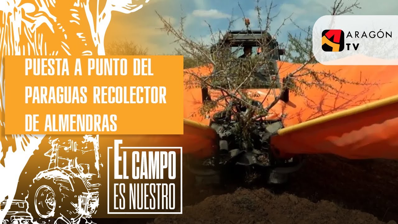 Puesta a punto del paraguas recolector de almendras