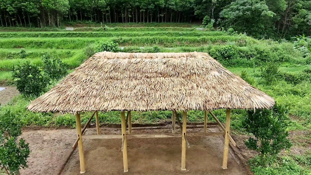 Techniqaes for making wooden houses,roofing palm leaves,digging drainage ditches - Ep.5