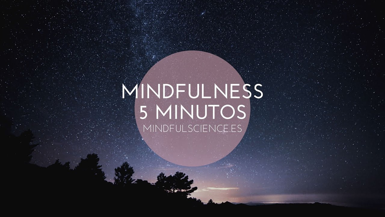MEDITACIÓN MINDFULNESS| EJERCICIO DE RESPIRACIÓN| MINDFUL SCIENCE
