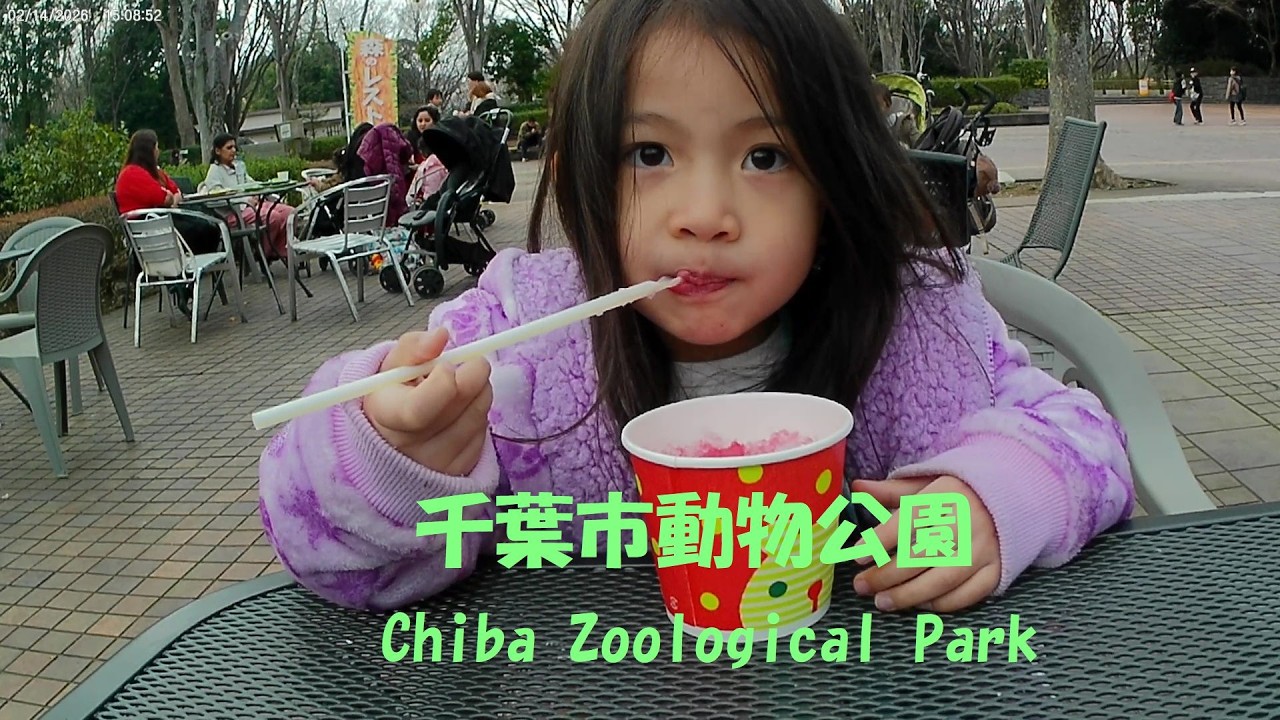 千葉市動物公園 Chiba Zoological Park #動物園 #キッズパーク #kidspark  #アニマルタッチ #animaltouch