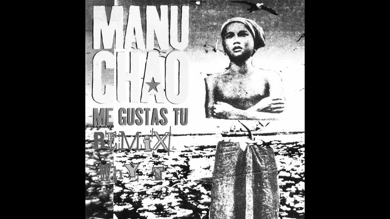Manu Chao - Me Gustas Tu (Why T Remix)