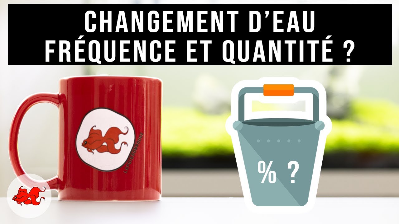 Aqua Tea' - Changement d'eau quelle fréquence et quantité ?