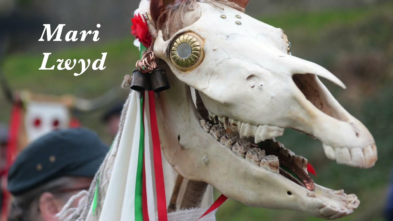 Mari Lwyd Song