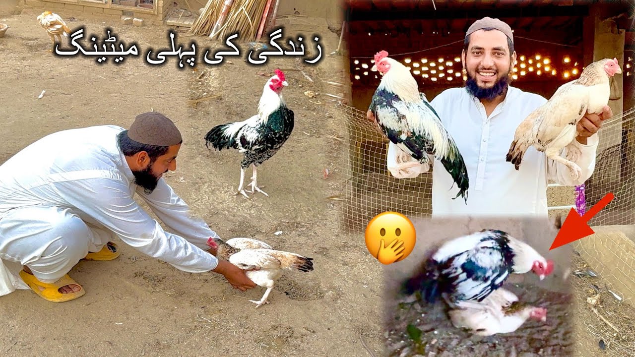 Chota Jawa Bazi Legya 🫢 Zindgi Ki Pehli Crossing 🙈