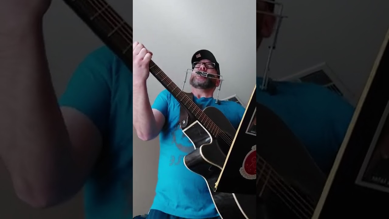 Wild One cover (Those Darlins)