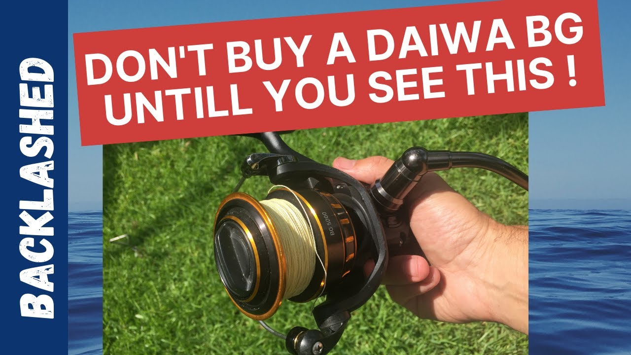 Daiwa BG Reel size comparison, see the difference. Plus some Shark fishing.
