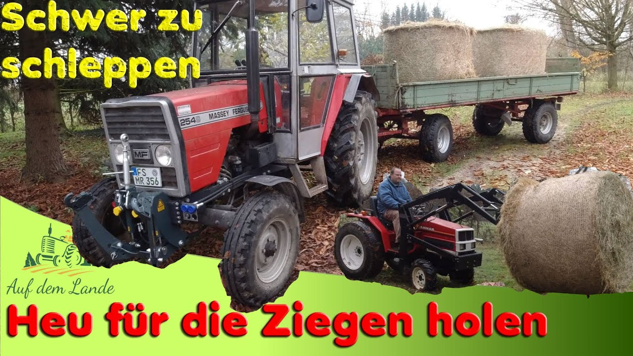 Heu Rundballen für die Ziegen zu schwer für den kleinen Yanmar? MF 254s F17d Kleintraktor Kipper