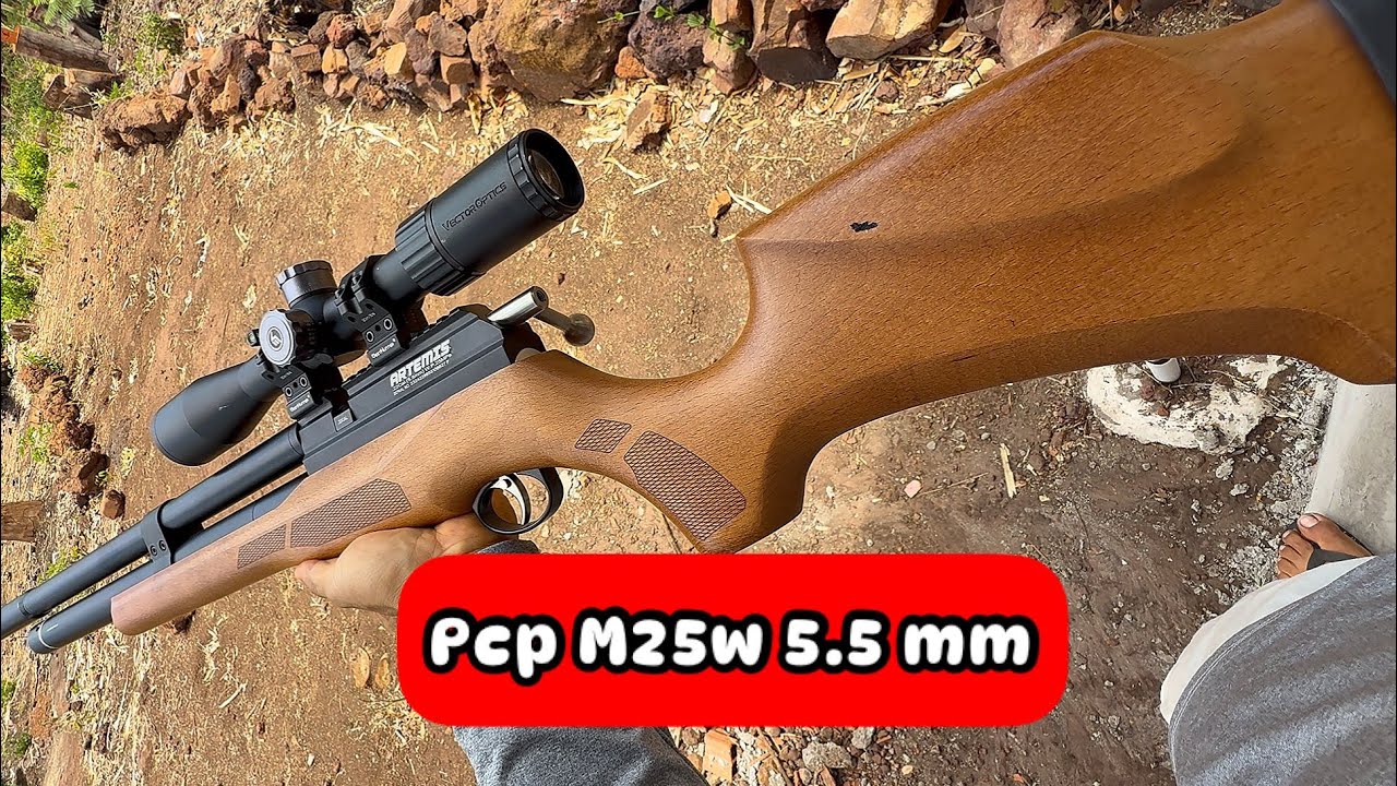 Melhor Carabina Longa DIST&Acirc;NCIA 