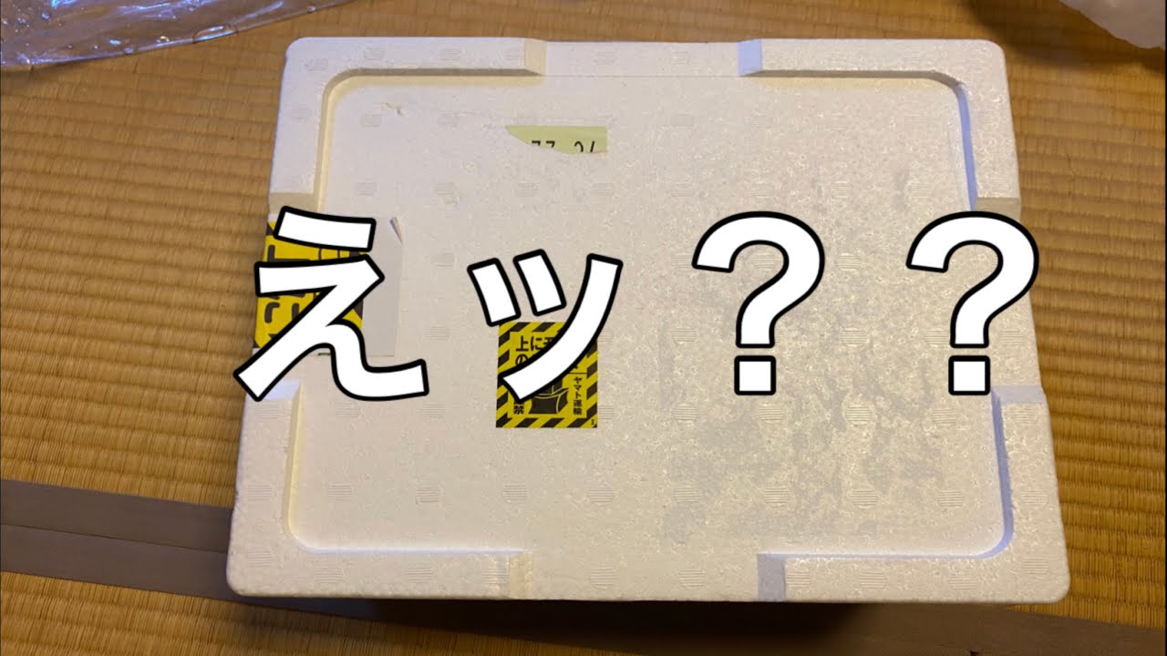ヤフオクでシュリンプ買ったら色んな意味でヤバかった！