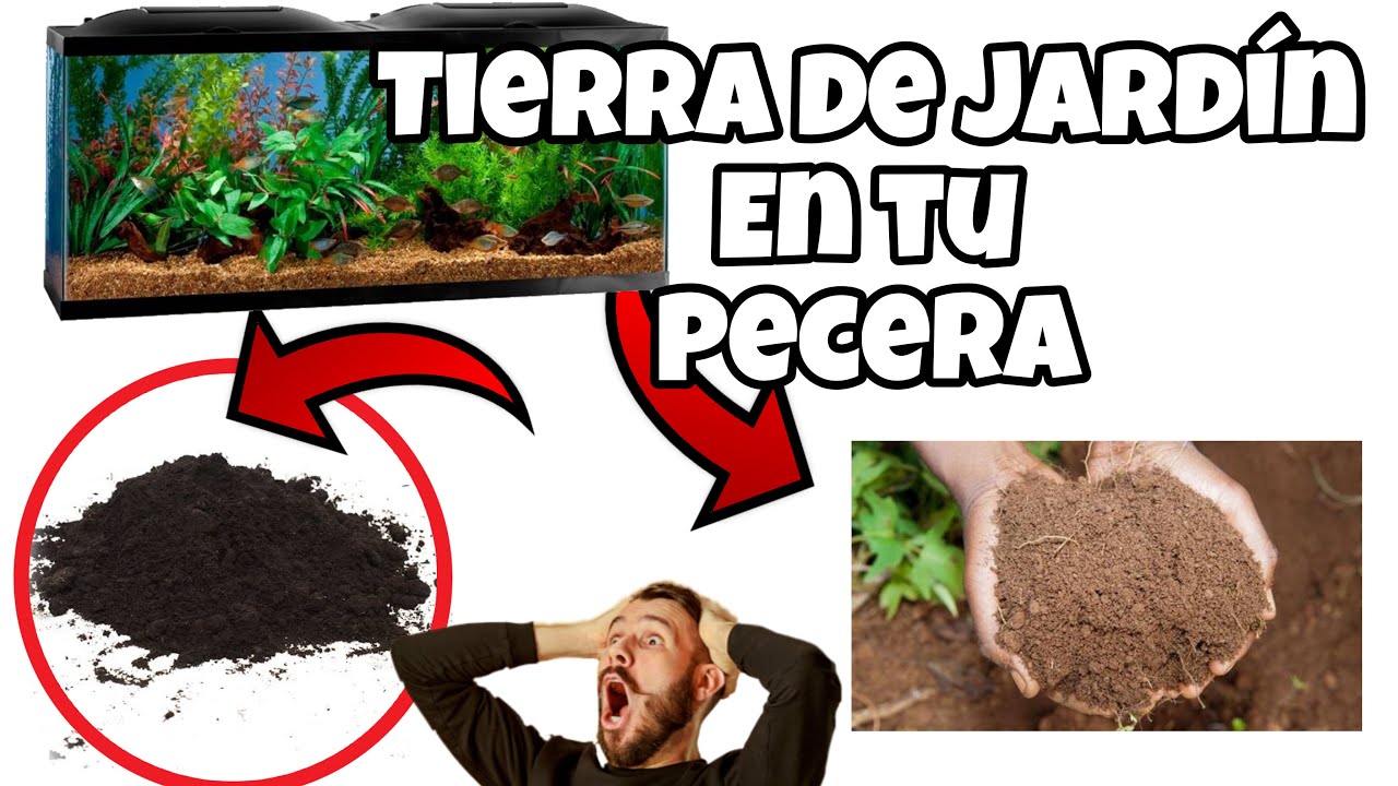 DIY ¿Puedo poner TIERRA común en mi ACUARIO ? | Puse TIERRA de JARDÍN en mi PECERA