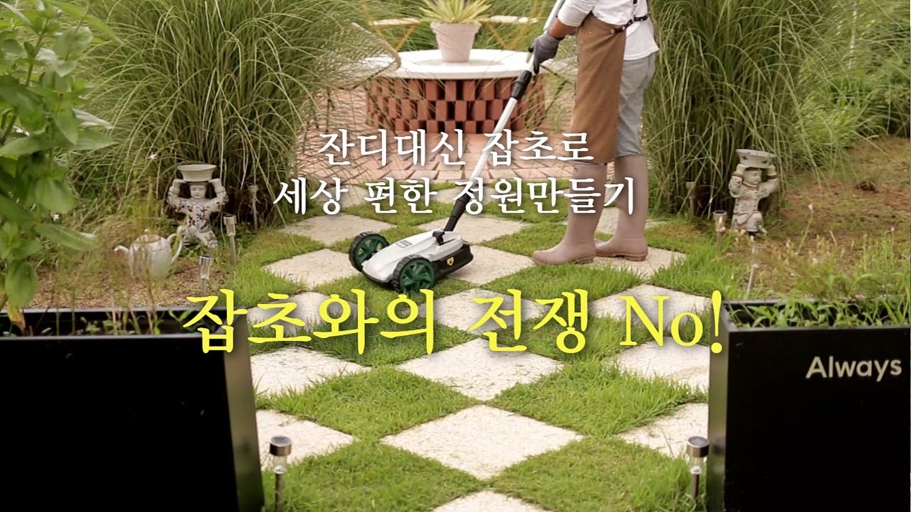 잔디대신 잡초로 세상 편한 정원만들기! 잡초의 재발견 지긋지긋한 바랭이와 클로버(토끼풀) 활용/나리온 무선 소형 잔디깎기