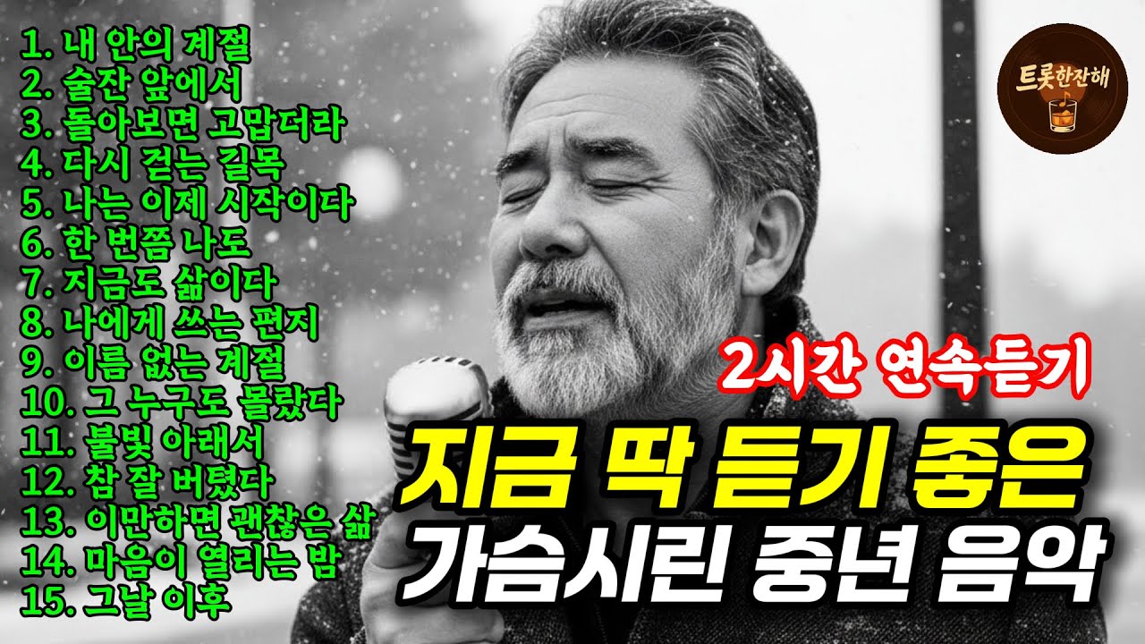 잠잘 때 듣기 좋은 중년 감성 트로트｜지금 듣기 좋은 인생 노래 2시간