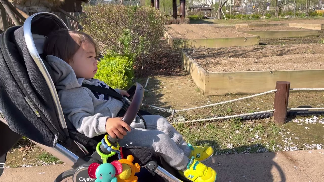 Świąteczny spacer w Korei- koreańskie osiedle, kwitnące wiśnie i zające w parku