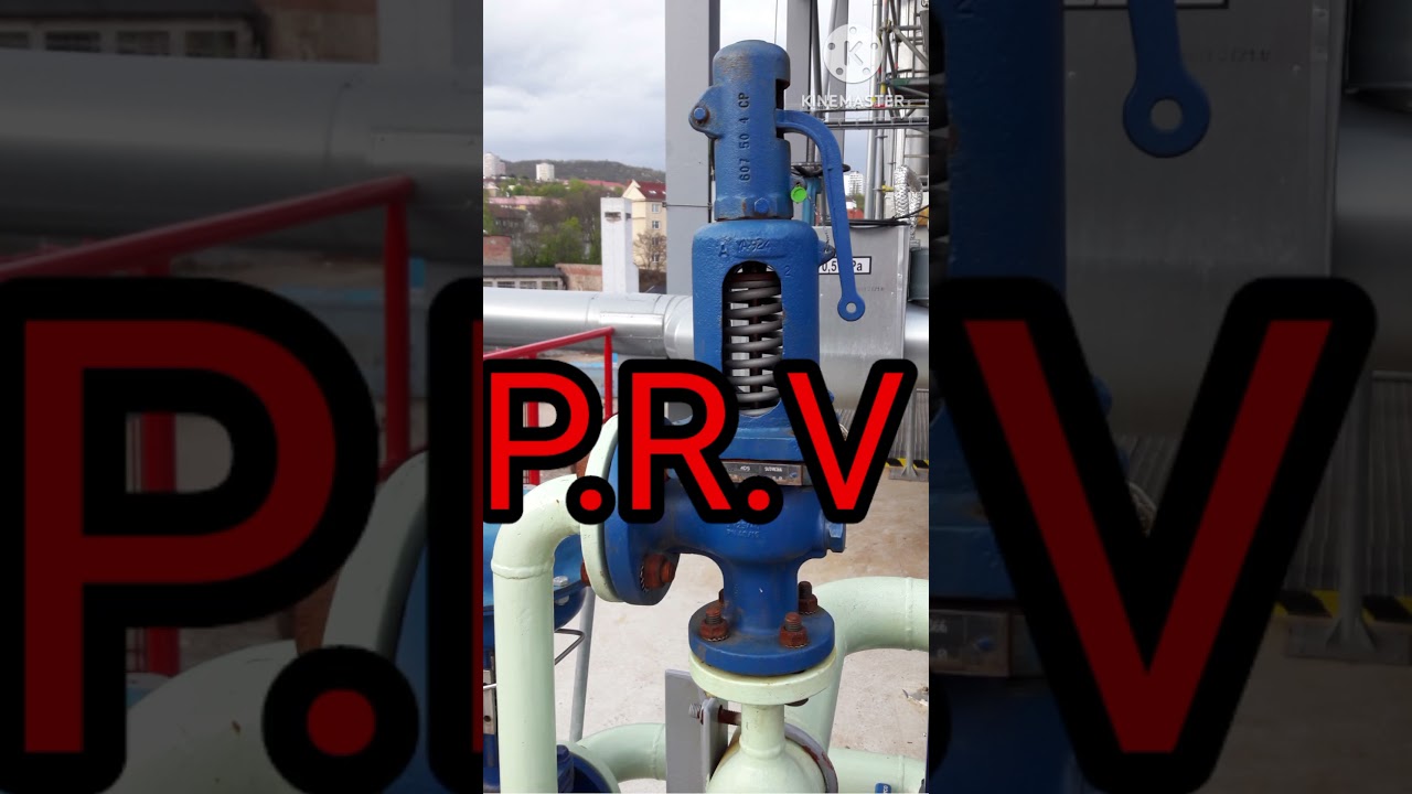 Differnce between P.S.V and P.R.V 