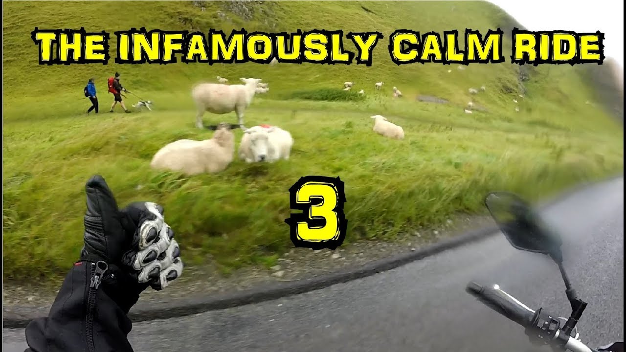 THE INFAMOUSLY CALM RIDEOUT 3