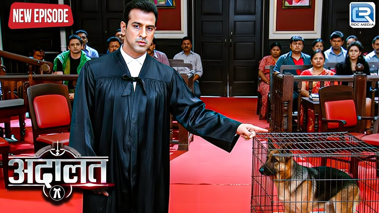 जंगली कुत्ता बना सबसे बड़ा सबूत KD Pathak ने खोल दिया चौंकाने वाला सच | Adaalat | New Episode