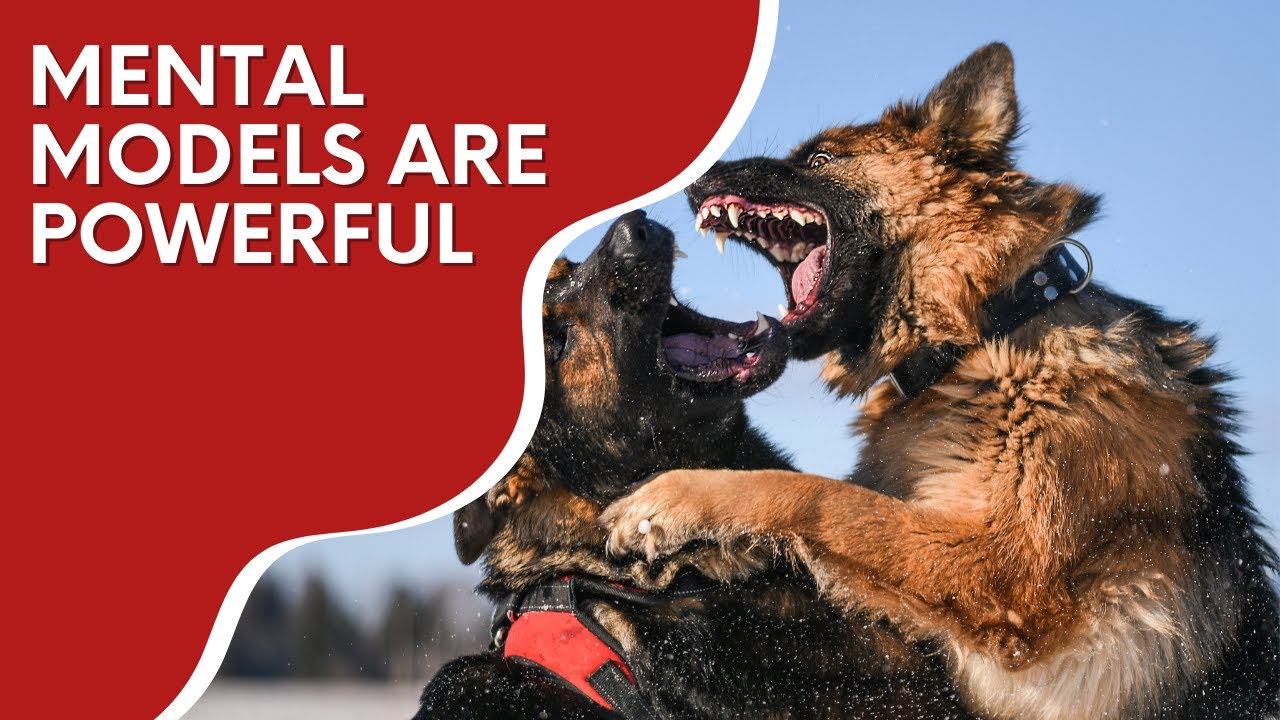 Mental models are powerful | Real World Examples