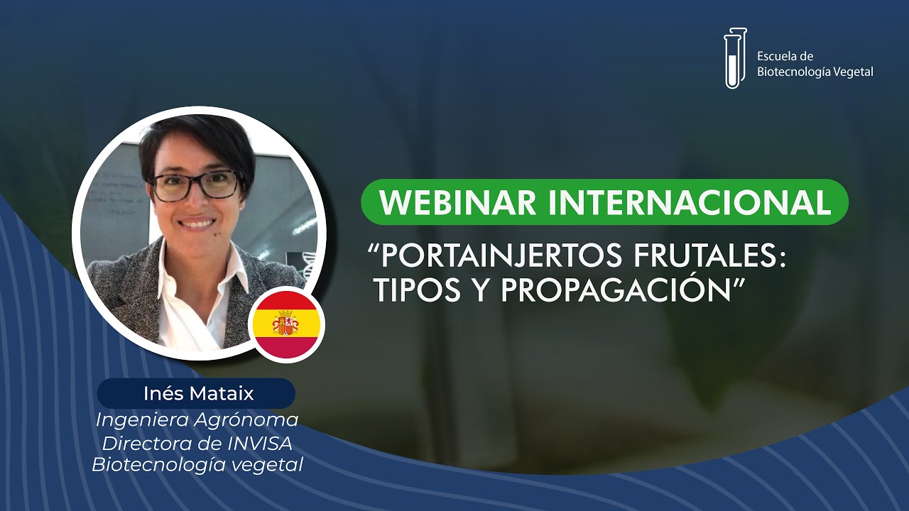 Webinar: Portainjertos frutales: tipos y propagación