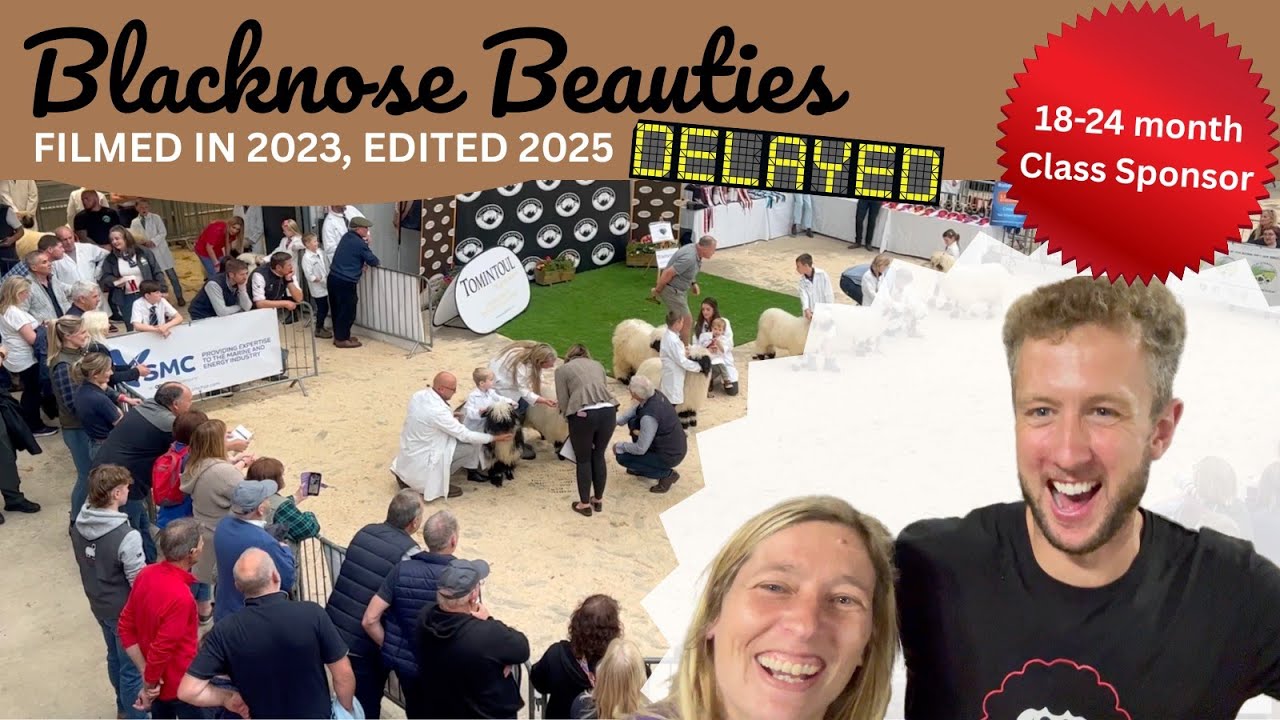 Blacknose Beauties 2023 Edited in 2025...Whooops - Featuring 
