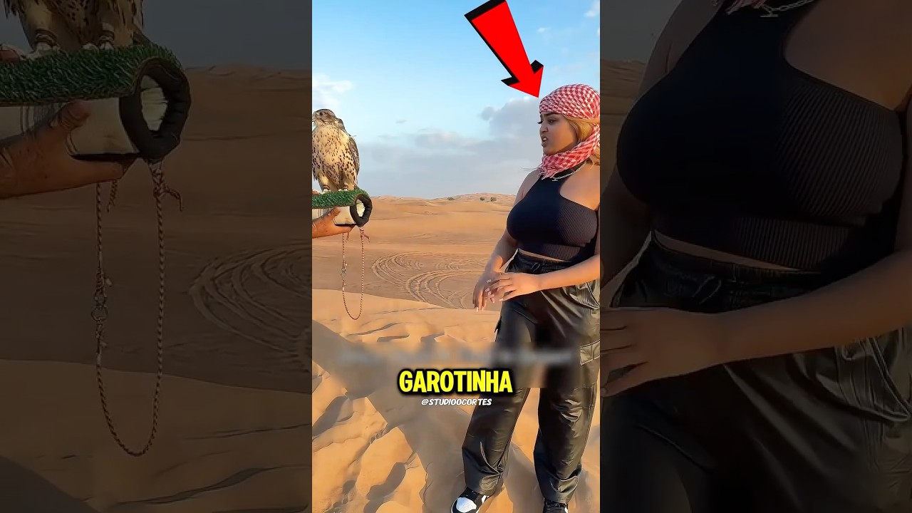 Até o Falcão desistiu de trabalhar 😂