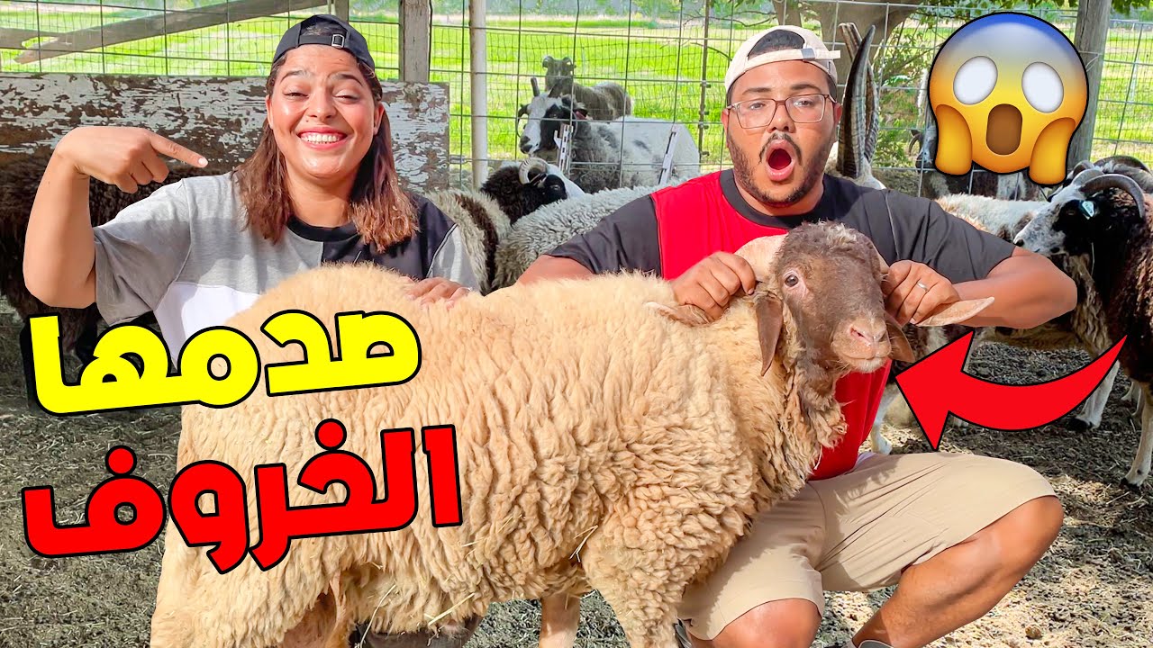 وأخيرا اشترينا خروف العيد🐑😱 ابتسام صدمها  حيت غالي 😲💔