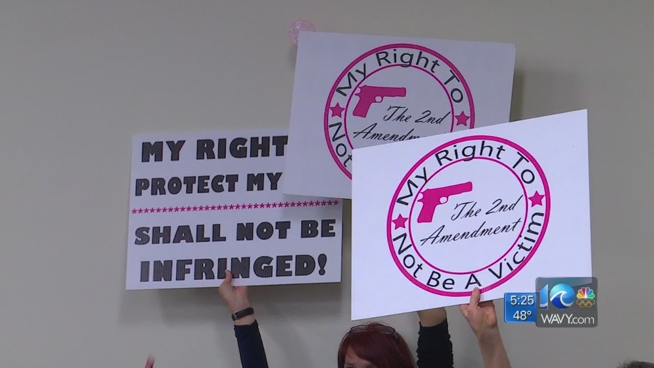 Virginia Senate committee kills assault weapons ban for 2020 session; asks Crime Commission to study