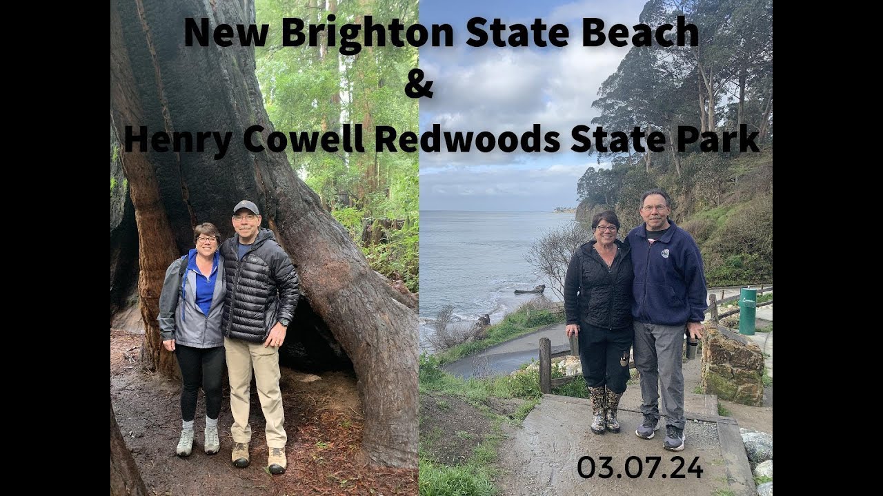 New Brighton SB & Henry Cowell Redwoods State Park