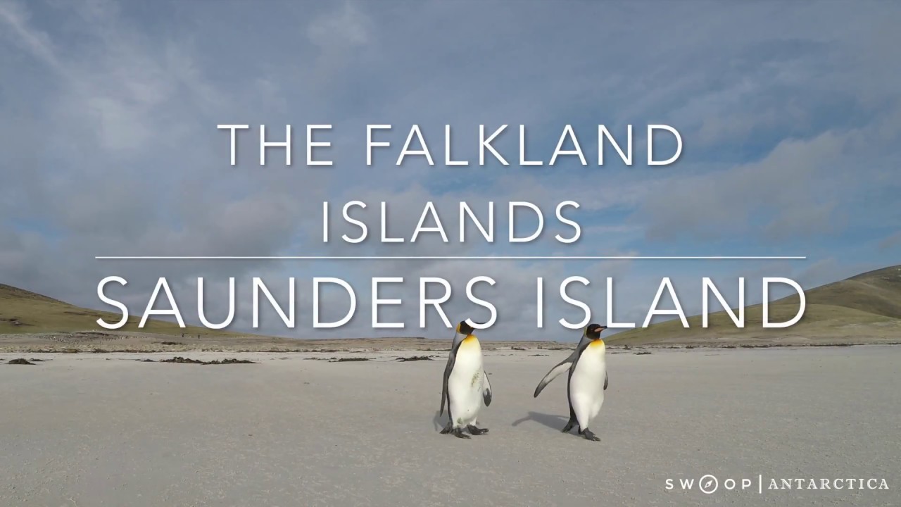 Saunders Island - The Falkland Islands (Malvinas)