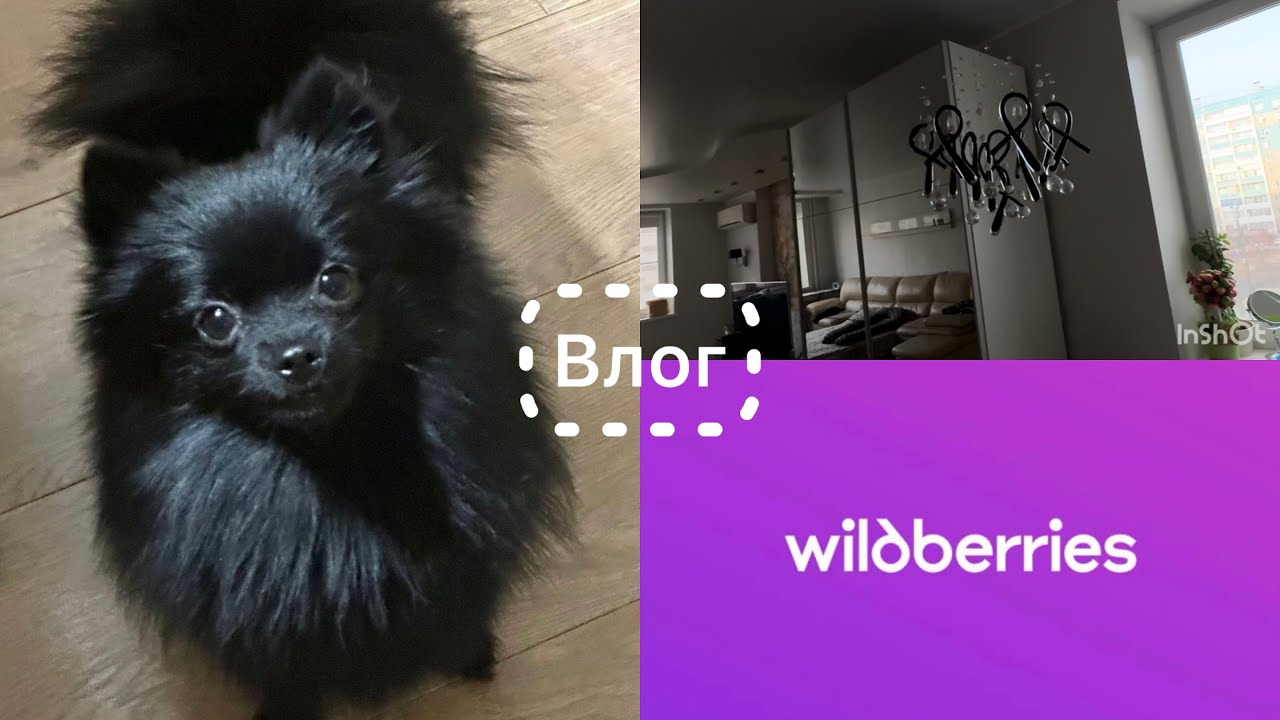 Влог 🎞️ Дела вбшные 🤗Гостиная готова 💪 Три года принцессе 🐾