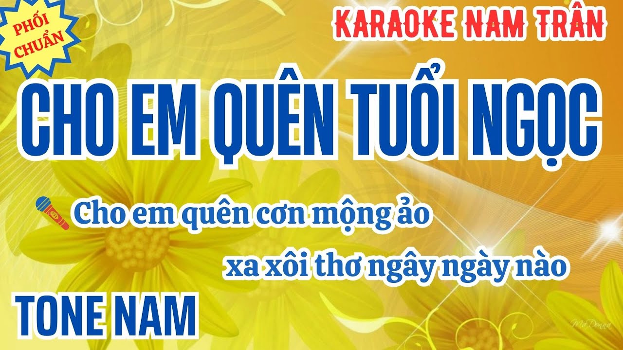 Karaoke Cho Em Quên Tuổi Ngọc Tone Nam | Nam Trân